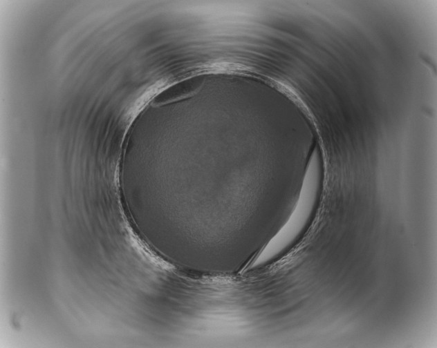 X0000100880946200807071123