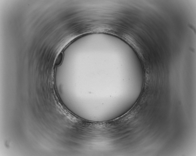 X0000100880948200807071123