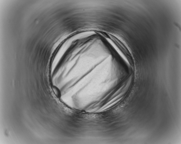 X0000100880949200807071123