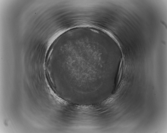 X0000100880951200807071123