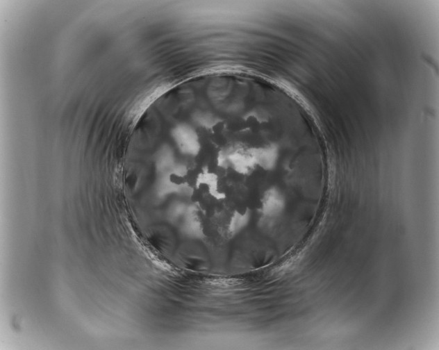 X0000100880953200807071123