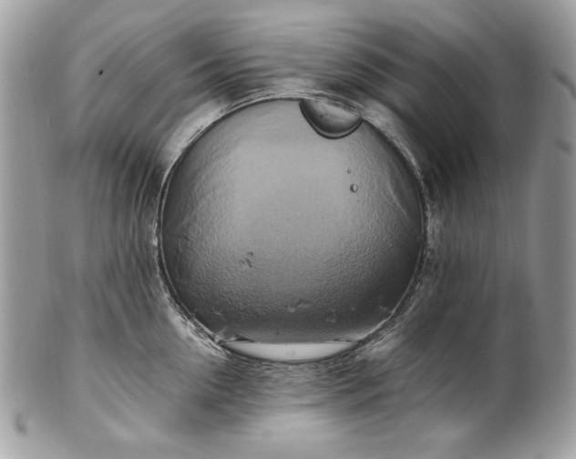 X0000100880954200807071123