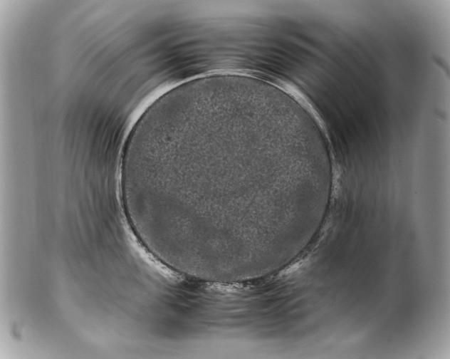 X0000100880955200807071123