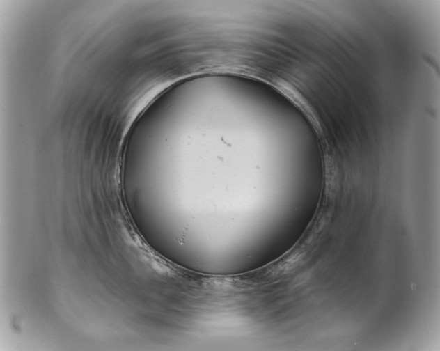 X0000100880956200807071123