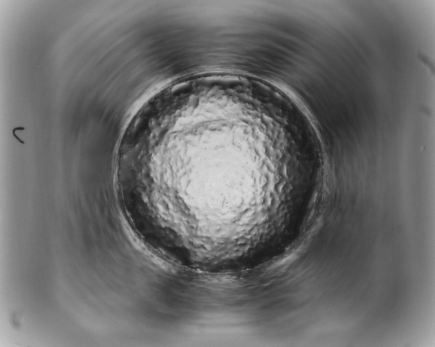 X0000100880957200807071123