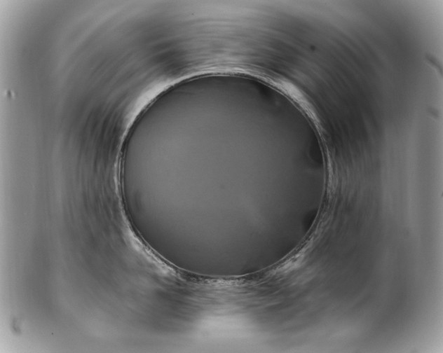 X0000100880958200807071123