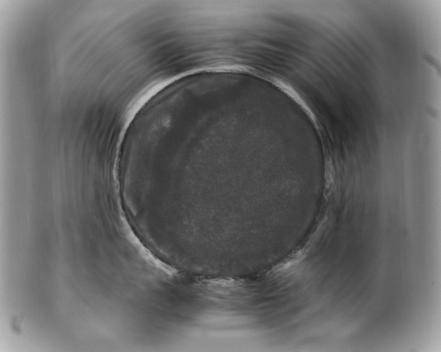 X0000100880959200807071123