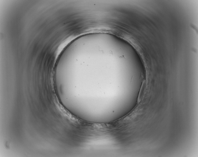 X0000100880960200807071123