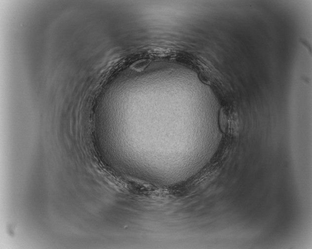 X0000100880961200807071123