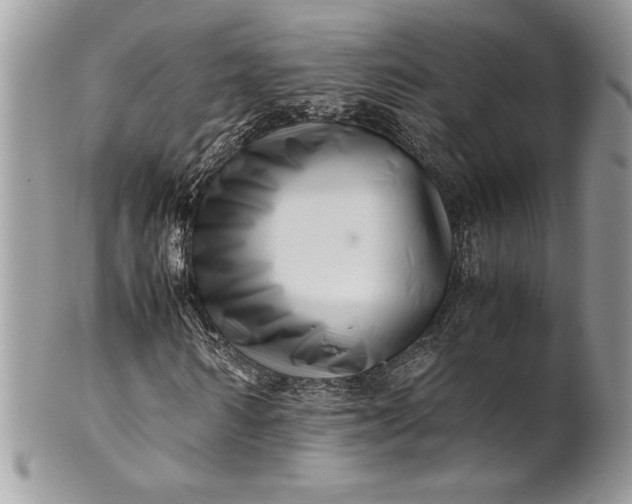 X0000100880962200807071123