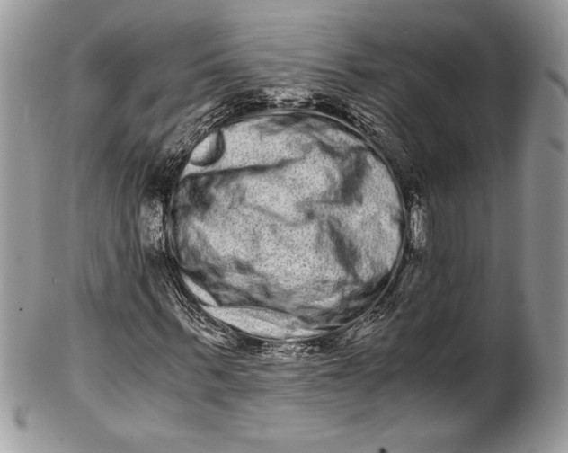 X0000100880963200807071123