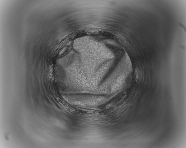 X0000100880964200807071122