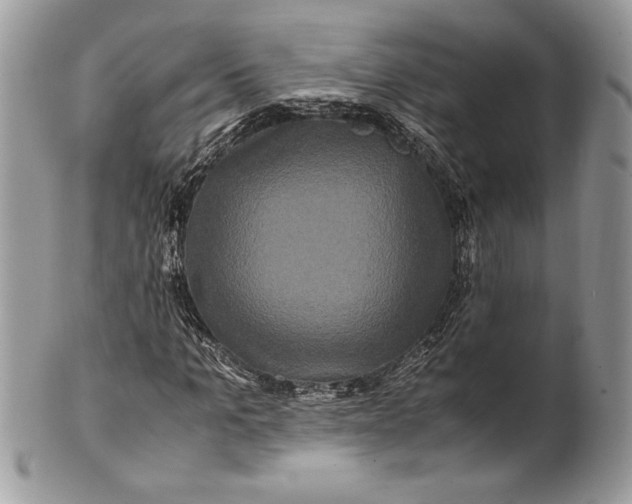 X0000100880965200807071122