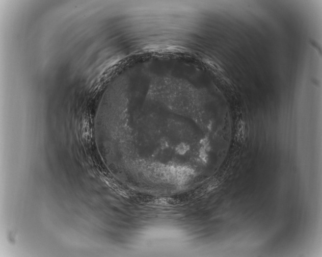 X0000100880966200807071122