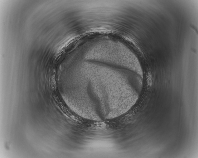 X0000100880968200807071122