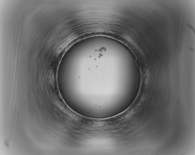 X0000100880969200807071122