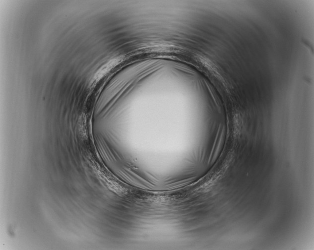 X0000100880970200807071122