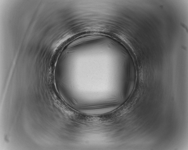 X0000100880971200807071122