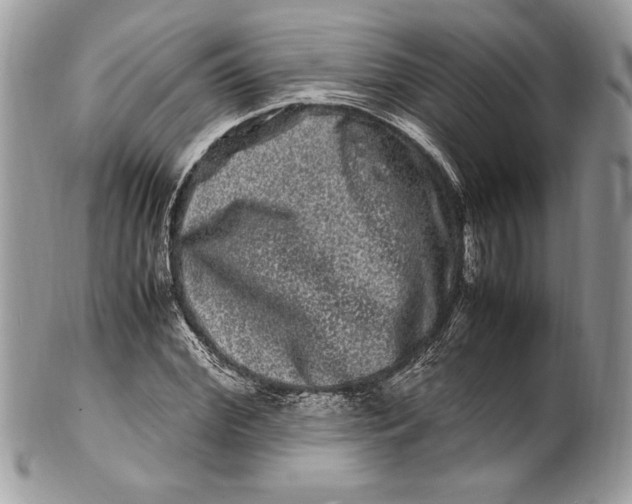 X0000100880972200807071122