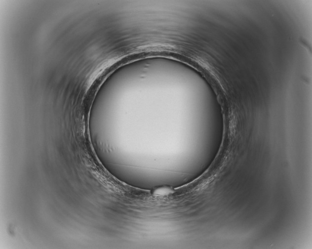 X0000100880973200807071122