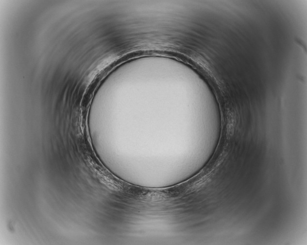 X0000100880974200807071122