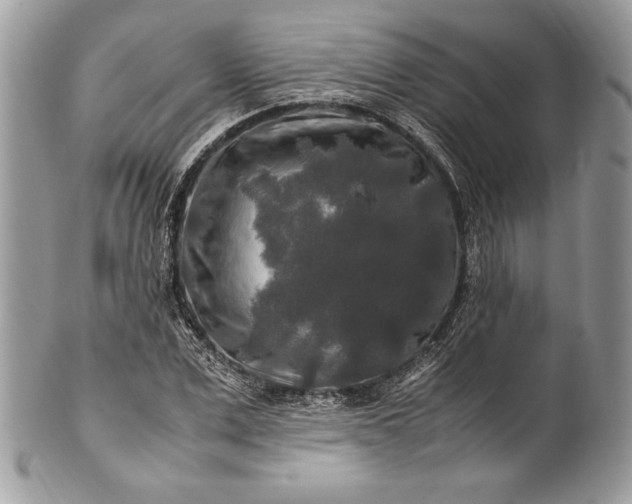 X0000100880975200807071122