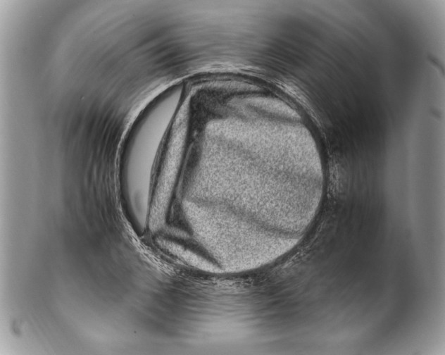 X0000100880976200807071122