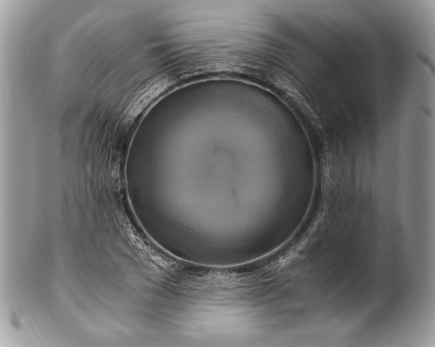 X0000100880977200807071122