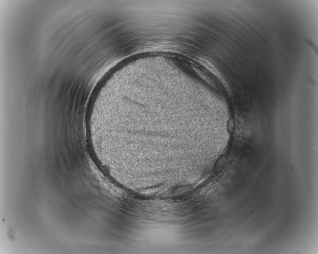 X0000100880980200807071122