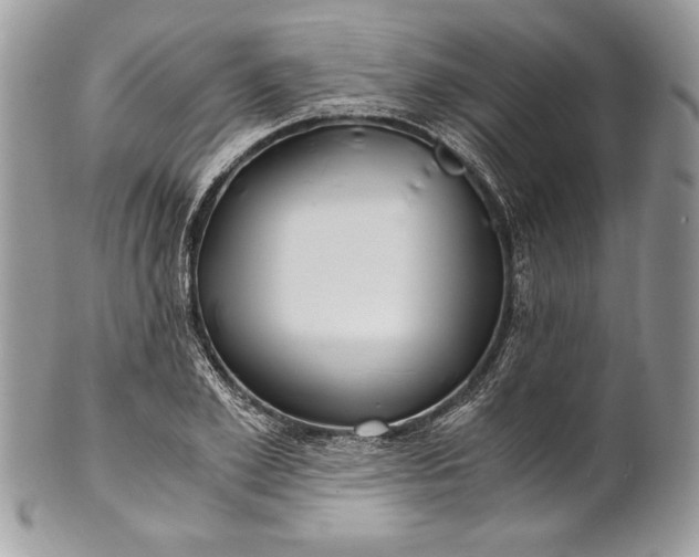 X0000100880981200807071122