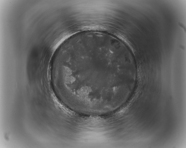 X0000100880983200807071122