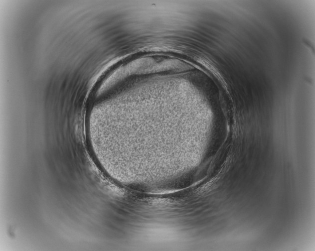 X0000100880984200807071122