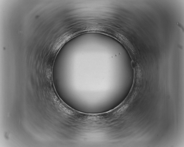 X0000100880985200807071122