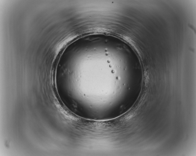 X0000100880987200807071122