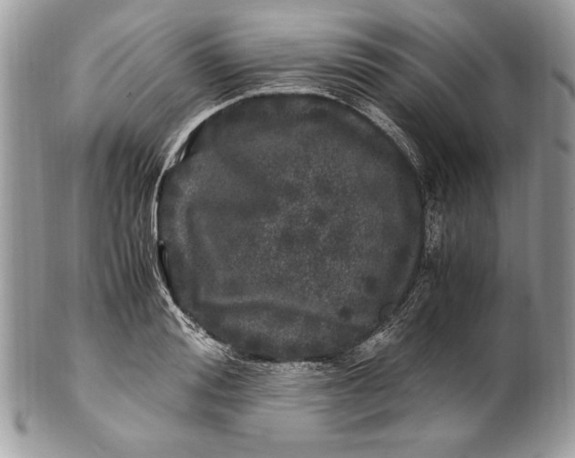 X0000100880988200807071122