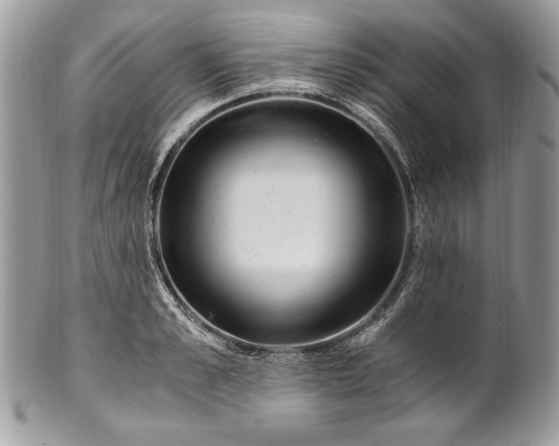 X0000100880989200807071122