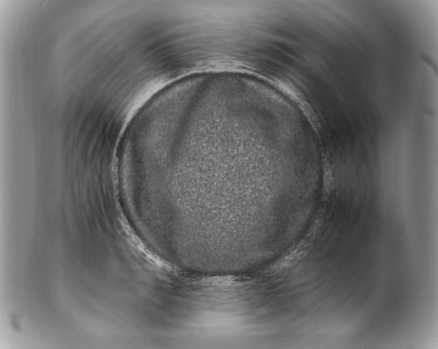 X0000100880990200807071122