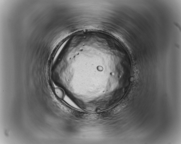 X0000100880991200807071122