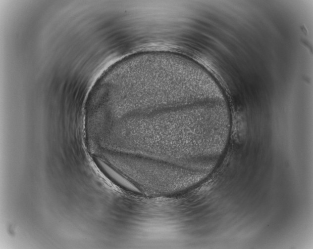 X0000100880992200807071122