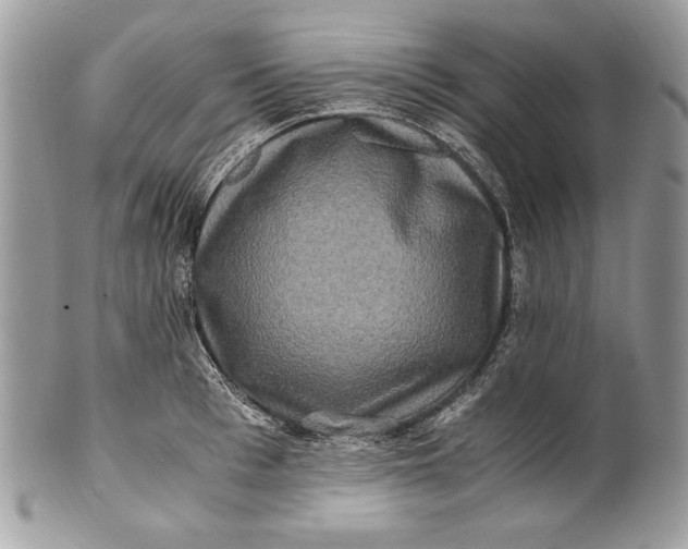 X0000100880993200807071122