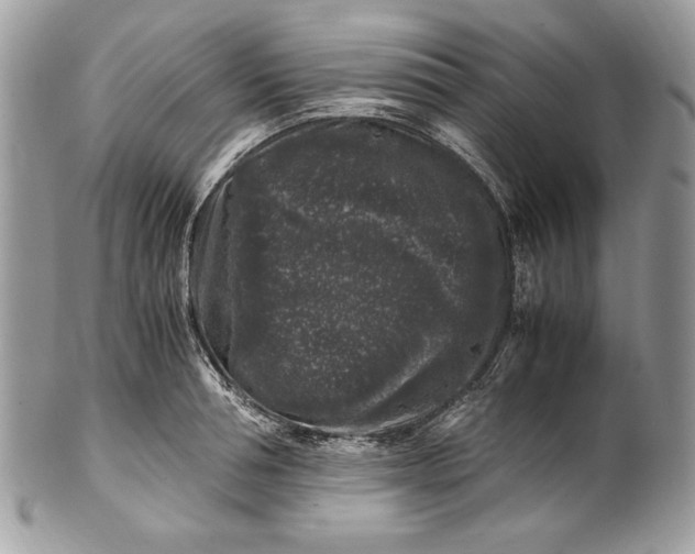 X0000100880994200807071122