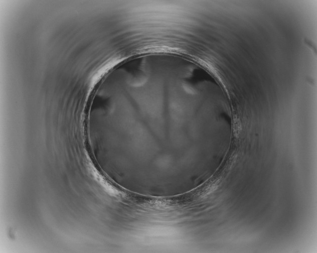 X0000100880995200807071122