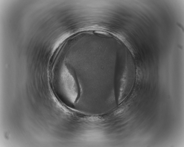 X0000100880998200807071122