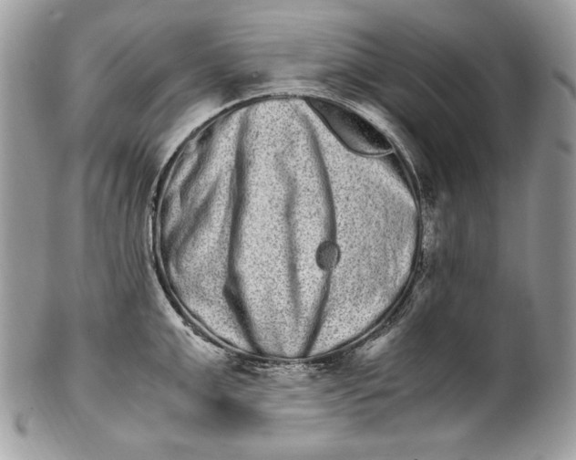 X0000100880999200807071122