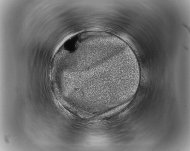 X0000100881000200807071122