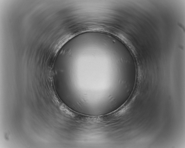 X0000100881001200807071122