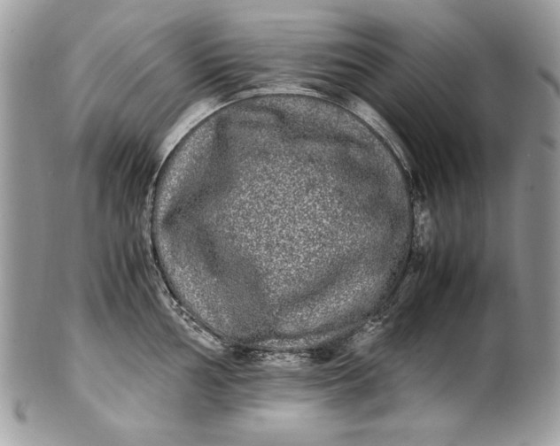 X0000100881002200807071122