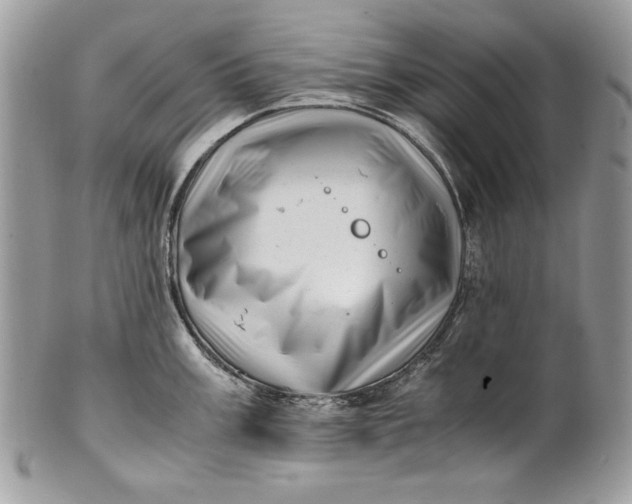 X0000100881003200807071122