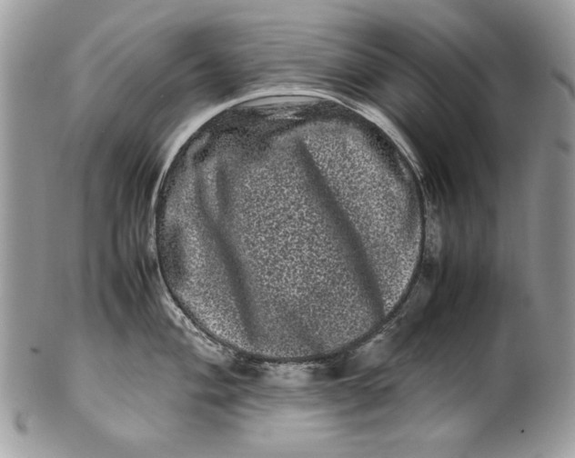 X0000100881004200807071122