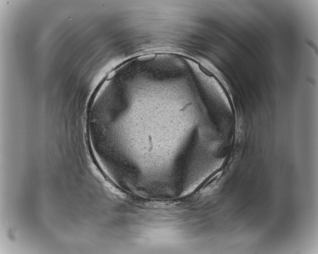 X0000100881005200807071122